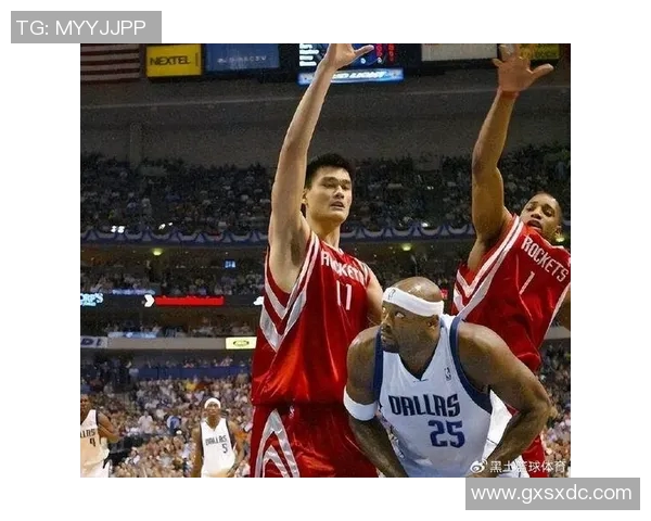 05年火箭与小牛季后赛精彩对决录像回顾与分析