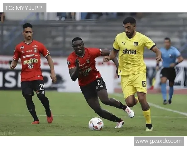 博塔弗戈与国民激战在即球迷期待精彩对决与精彩进球