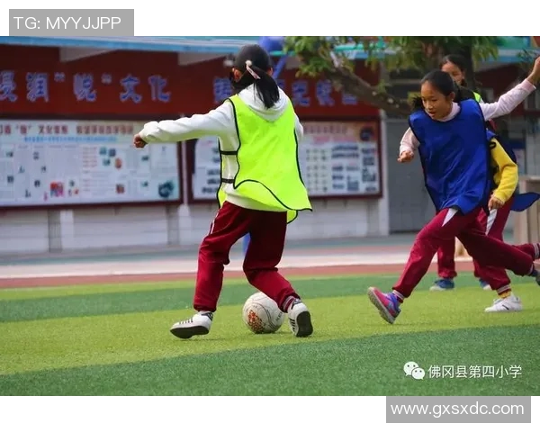 龙山县足球比赛盛大开幕式直播精彩瞬间回顾与赛程安排详解